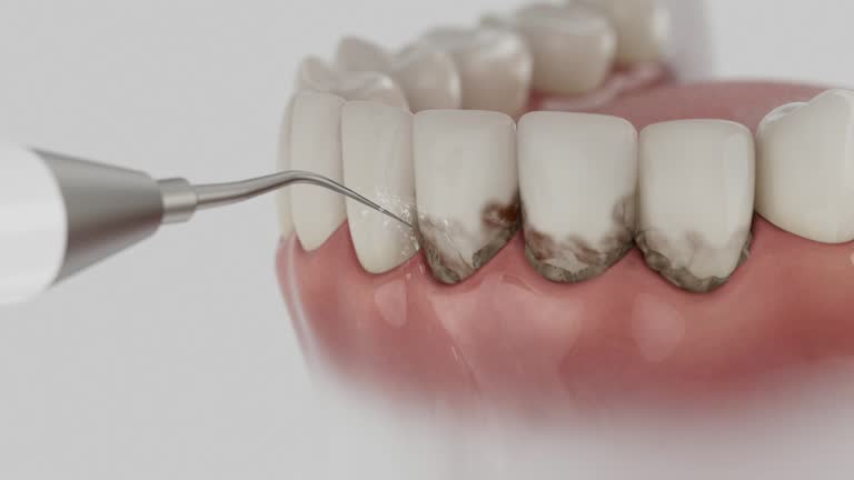 Reliable Dental contractor in Belmont Estates, VA by Dentist Open Now